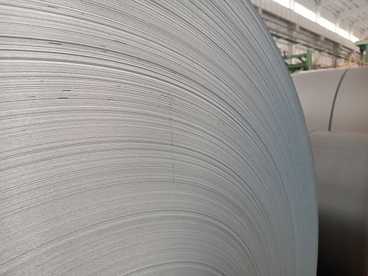 المصنع التوريد المباشر الساخن DIP SPCC المسبقة الطلاء Spangle AZ100 Galvalume Steel Coil GL Sheet مواد البناء